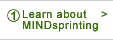 Learn About MINDsprinting